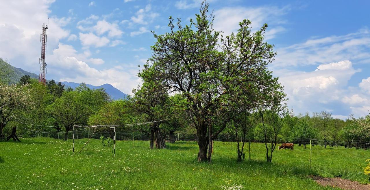Villa Katharina Bran Bran  Buitenkant foto
